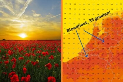 hittegolf in nederland
