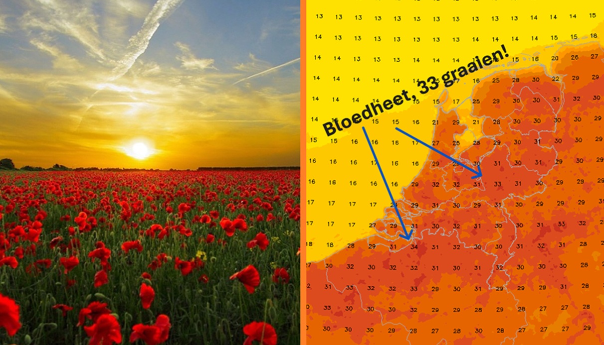hittegolf in nederland