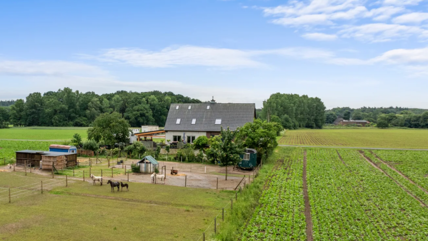 Absolute droomwoning net over de grens bij Nijmegen voor een prikkie te koop op Funda