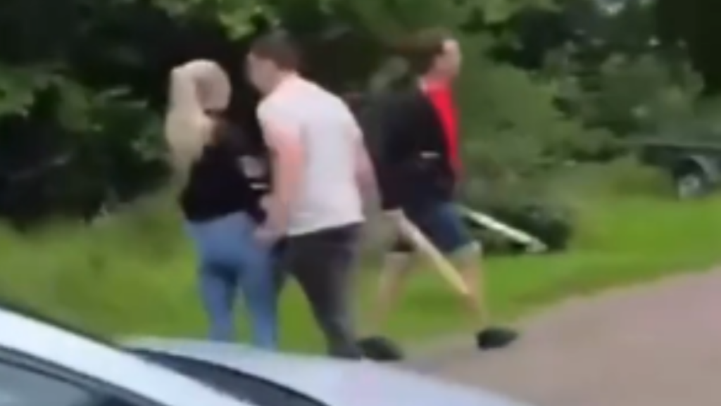Burenruzie in Friese Borgum loopt tikkeltje uit de hand