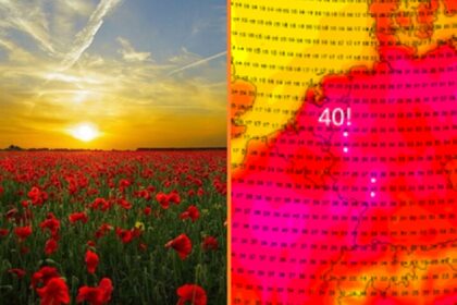 zomer in nederland