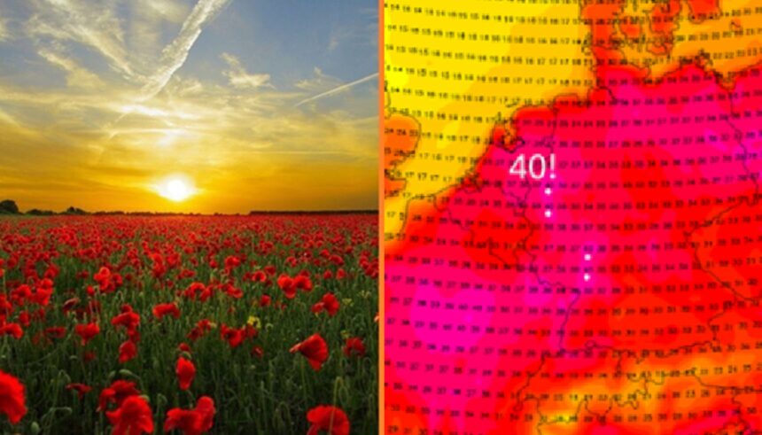 zomer in nederland