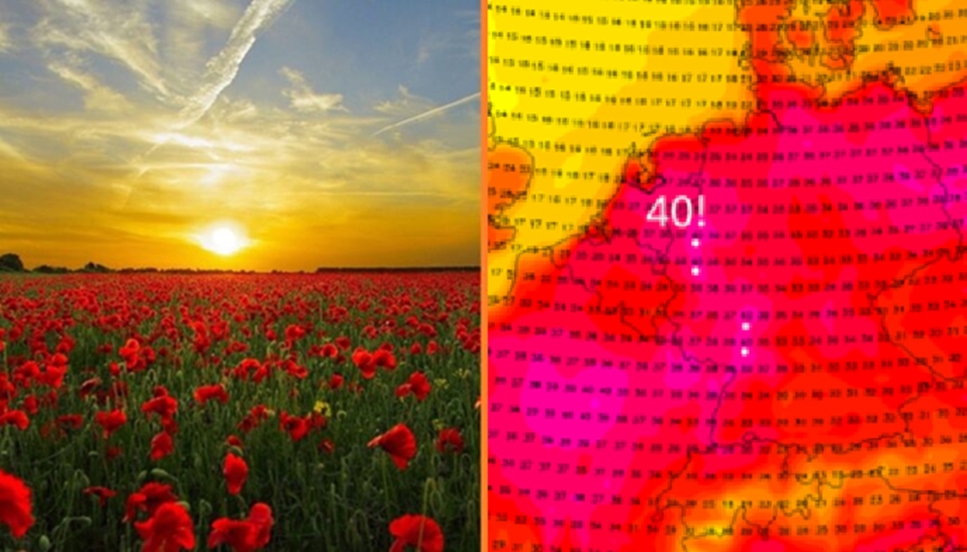 zomer in nederland